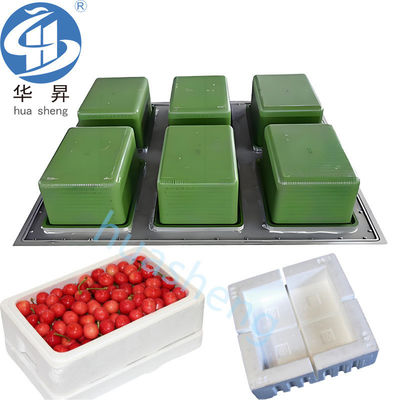 Molde de alumínio US EPS para produtos de peixe/frutas/cessos gelados/caixas de abelhas mais frios