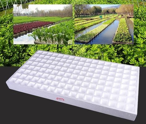 Máquina de espuma automática de blocos com bandeja de envio HS-CXJ-1750 EPS computarizada para o mercado